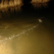 12-10 5_800x531.jpg