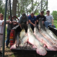 IMG_0043_640x480.jpg